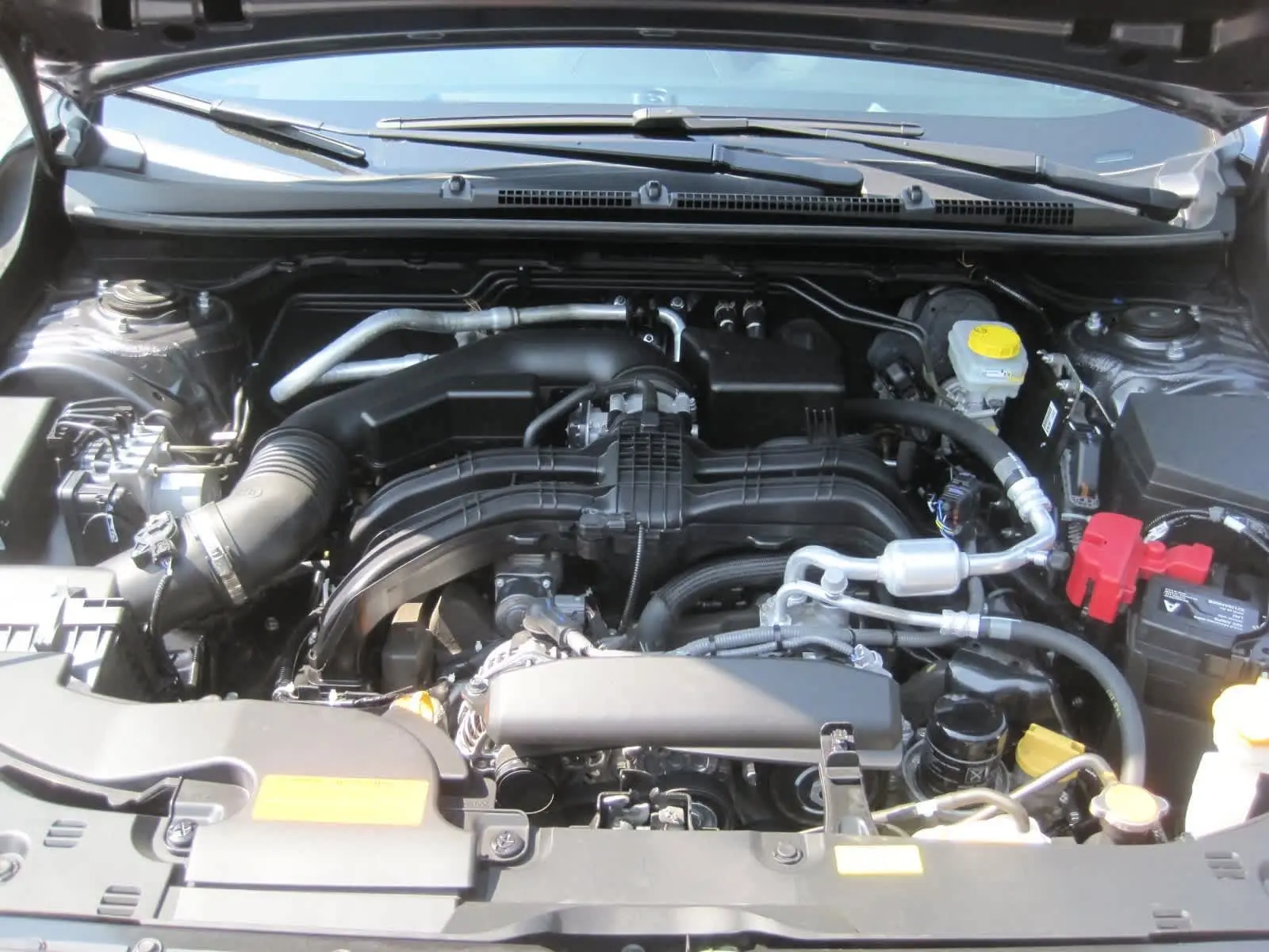 image-6