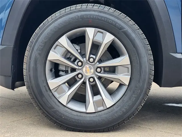 image-7