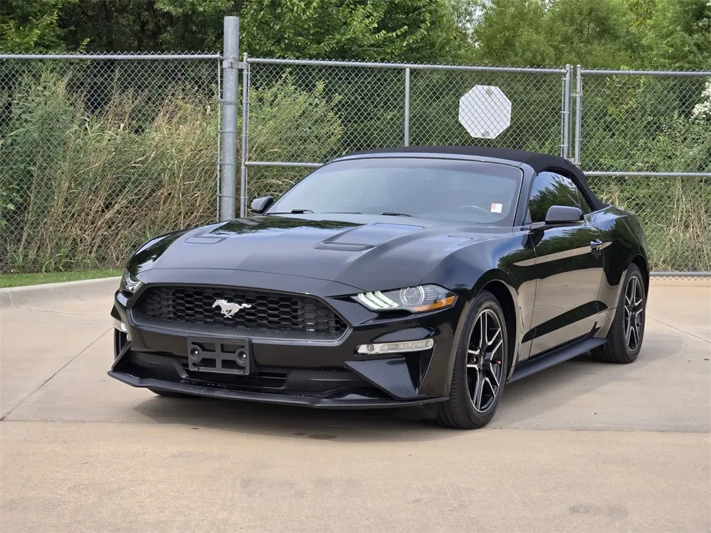 2019 Ford Mustang EcoBoost Premium photo 3