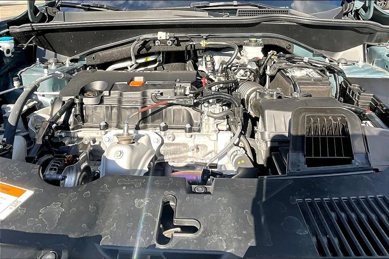 image-8