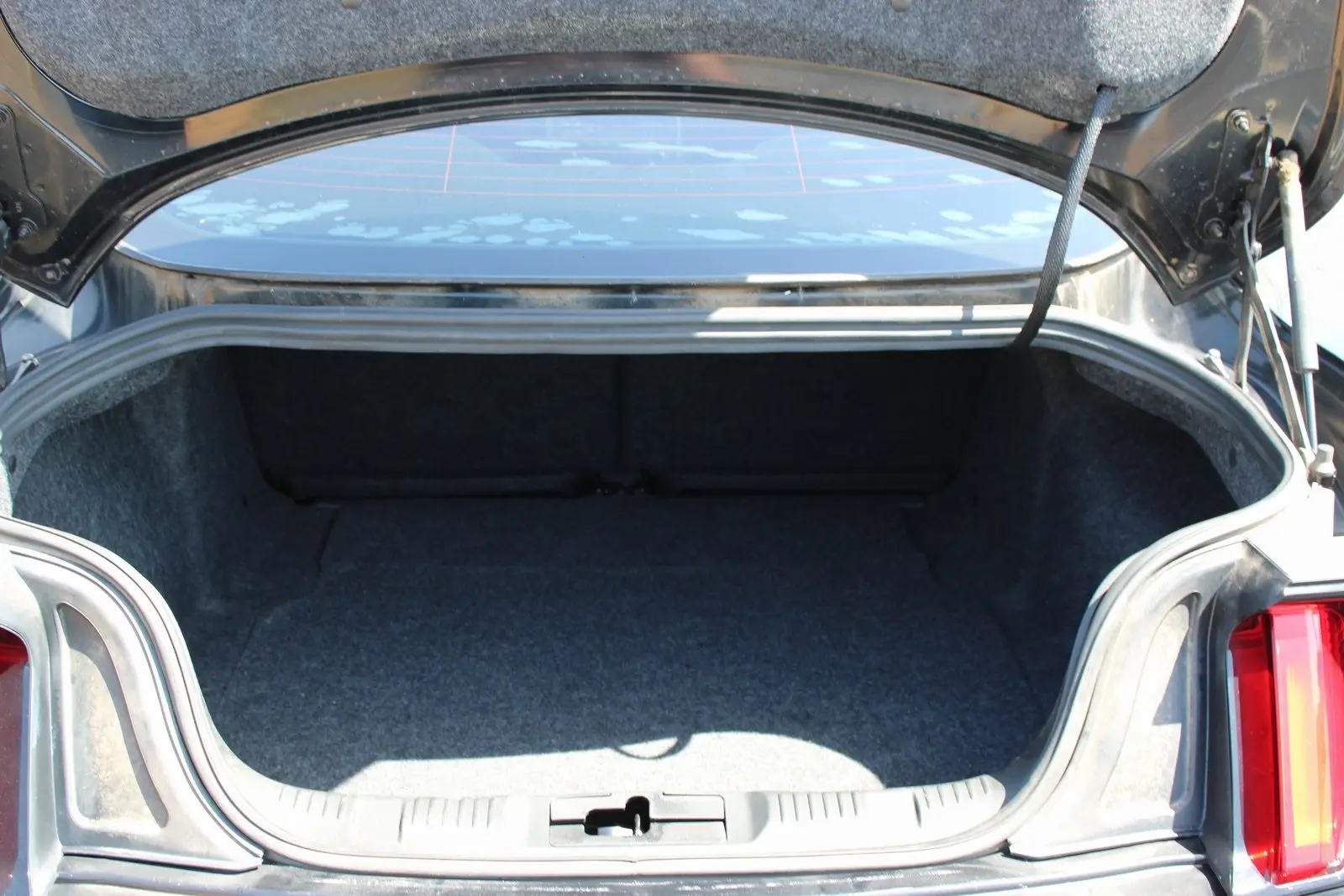 image-7