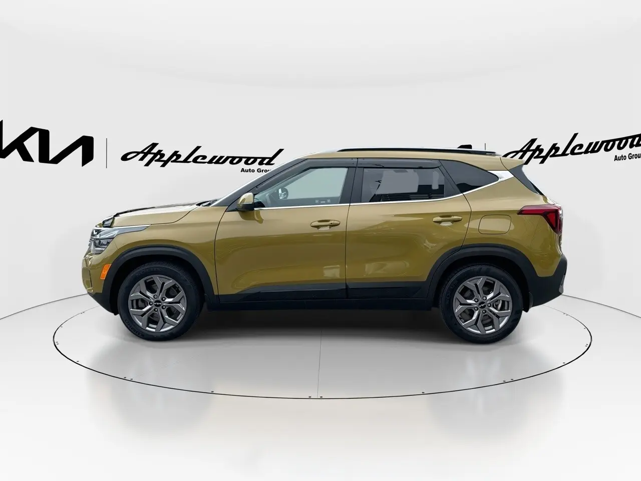 image-4
