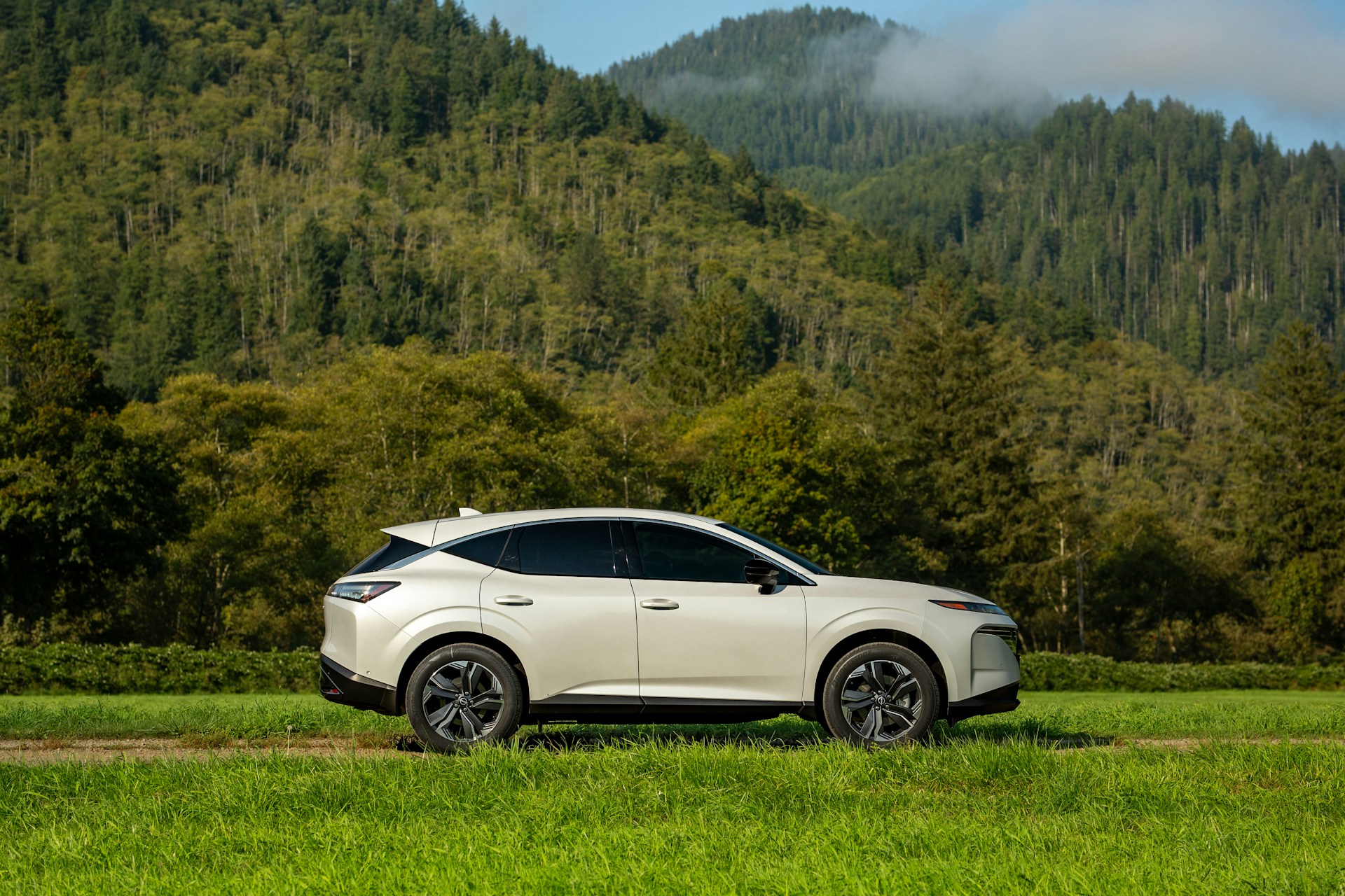 Nissan EV
