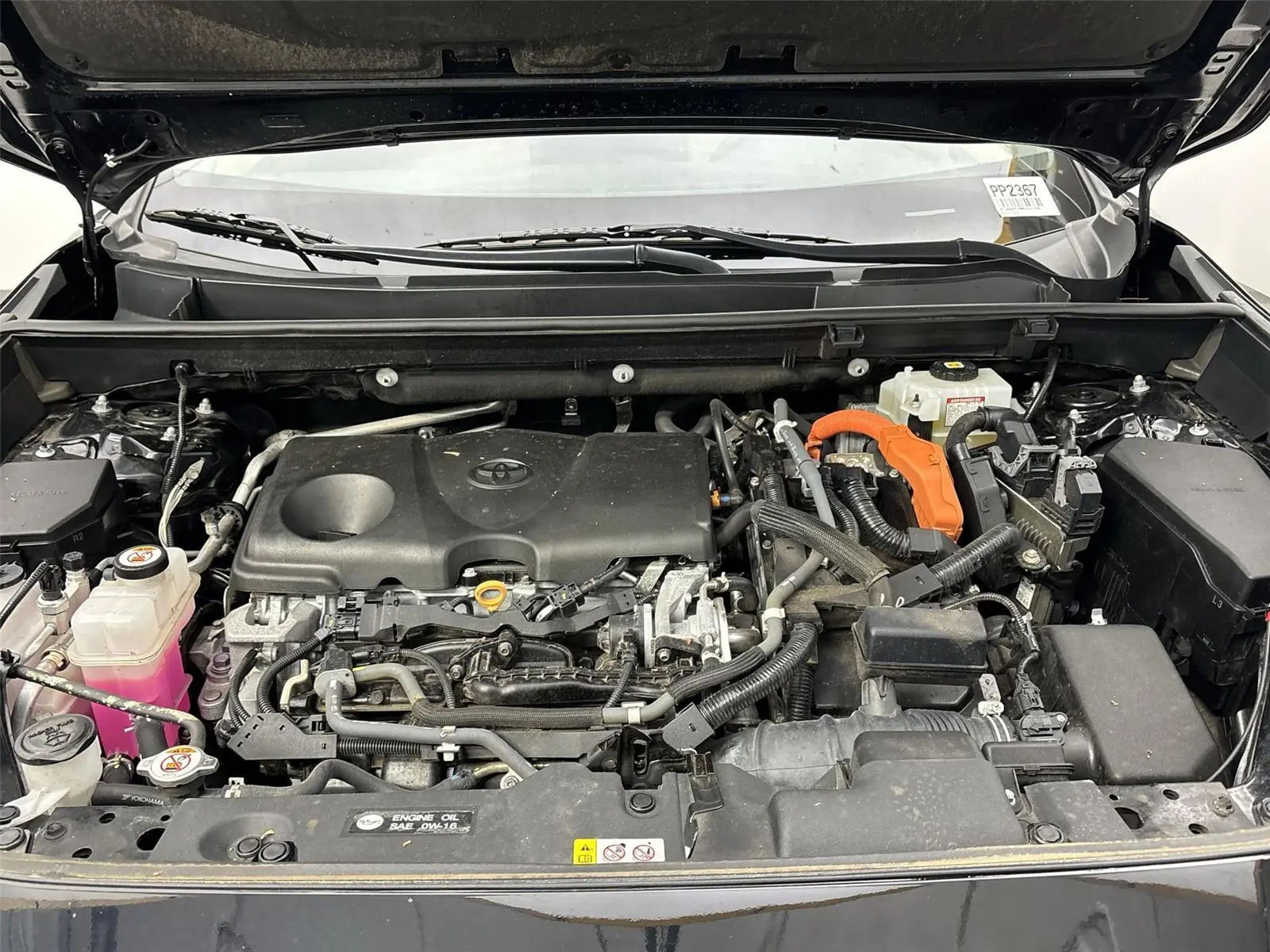 image-19