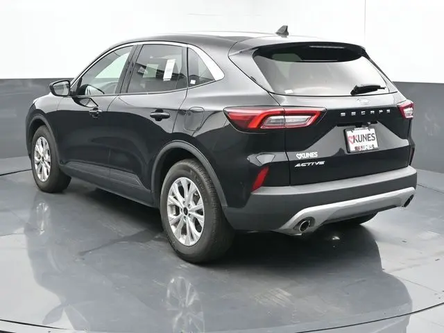 image-7