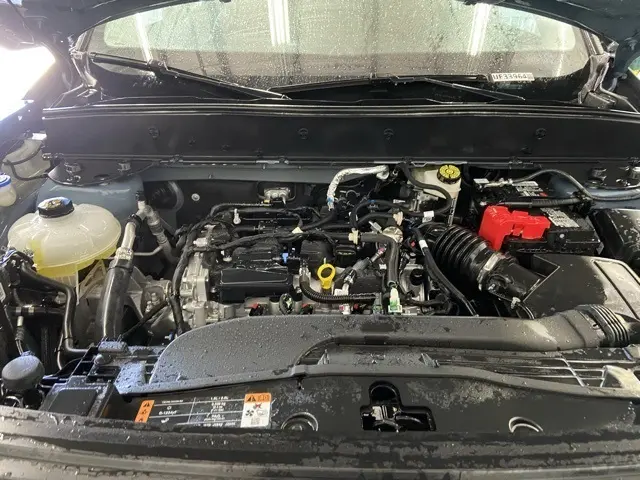 image-14
