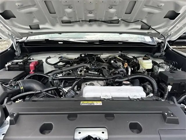 image-19