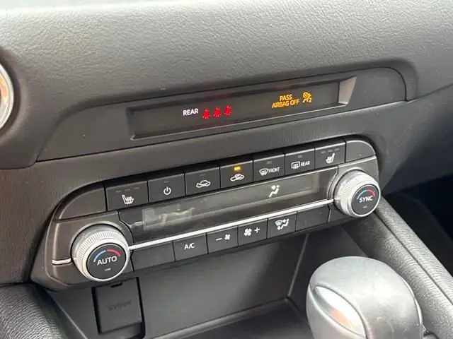 image-19