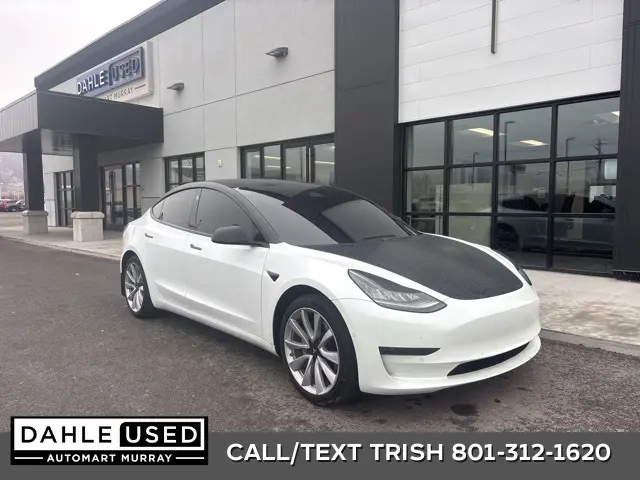 2019 Tesla Model 3 Base's photo