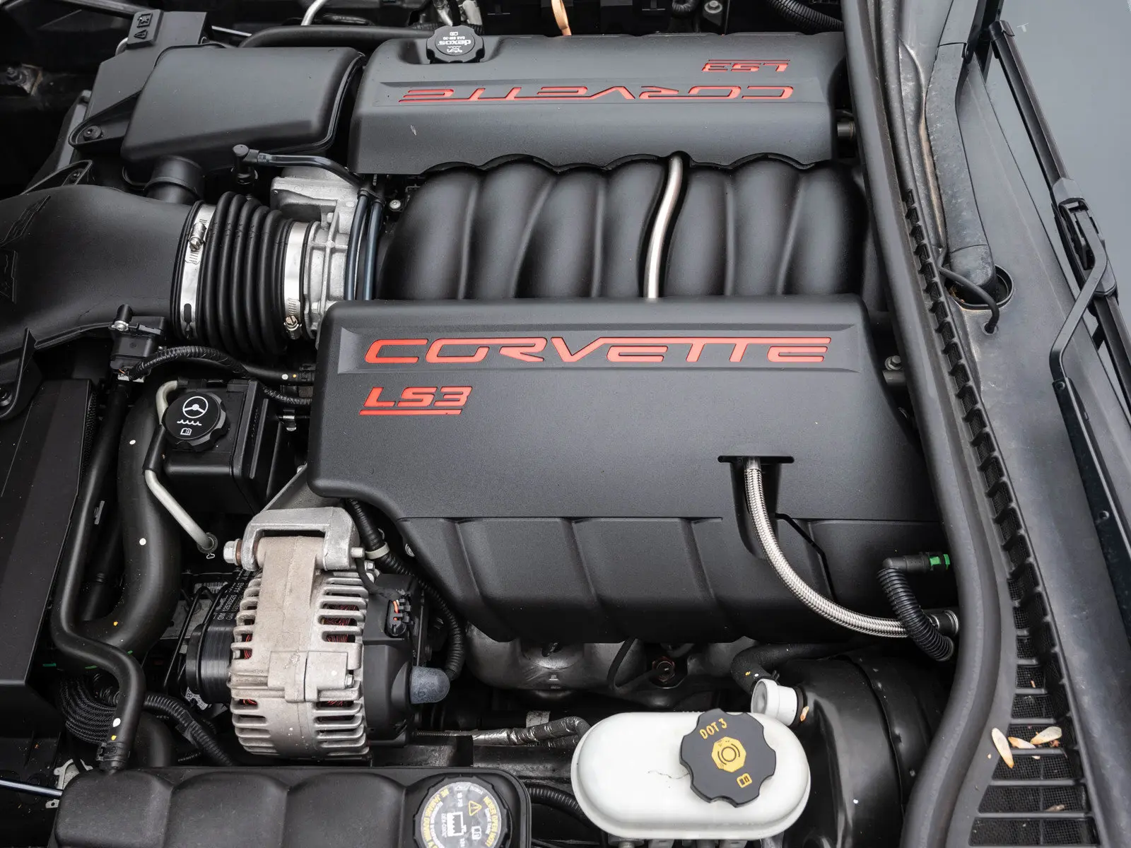 image-5