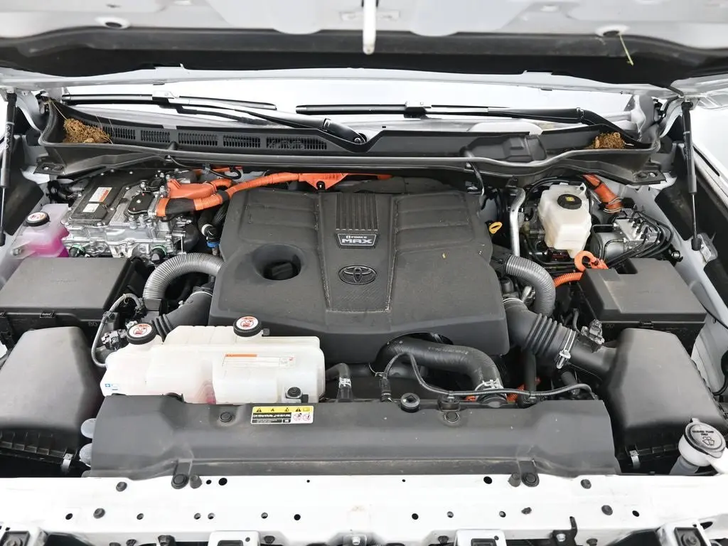 image-19