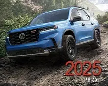 2025 Pilot
