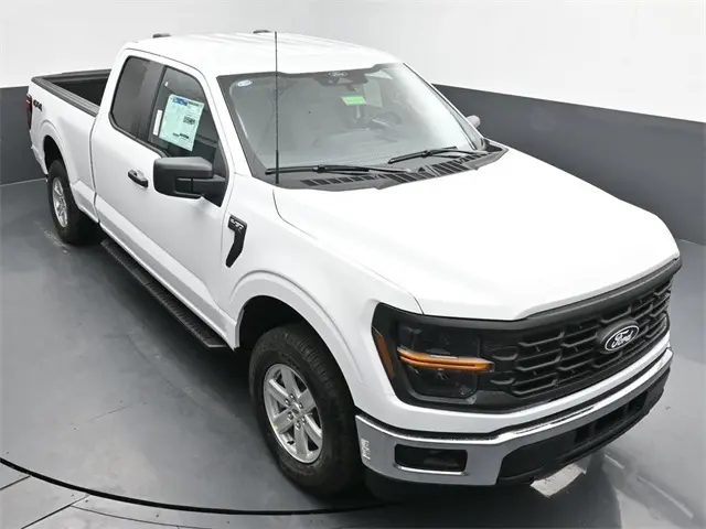 image-19