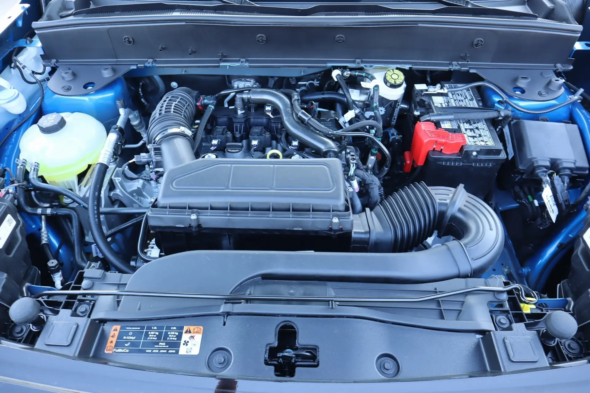 image-19