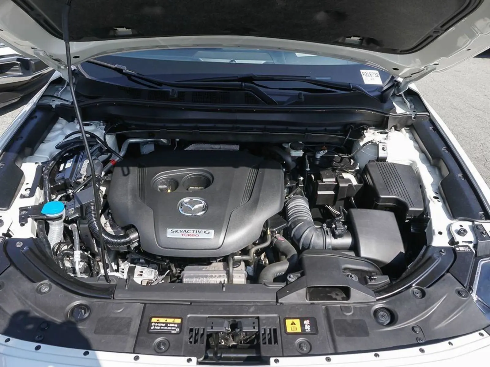 image-7