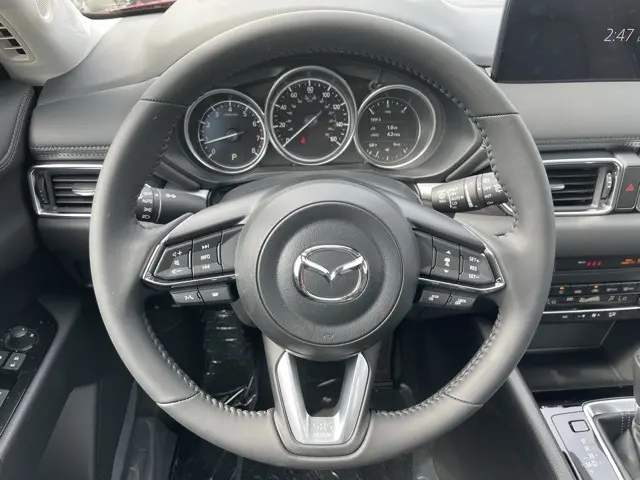 image-12