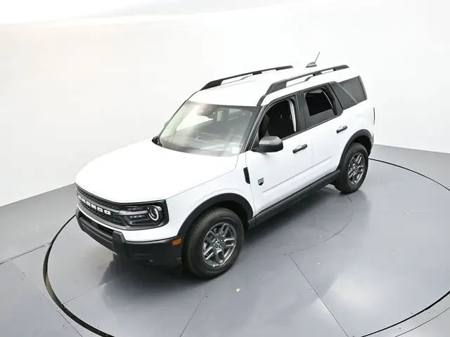 image-19