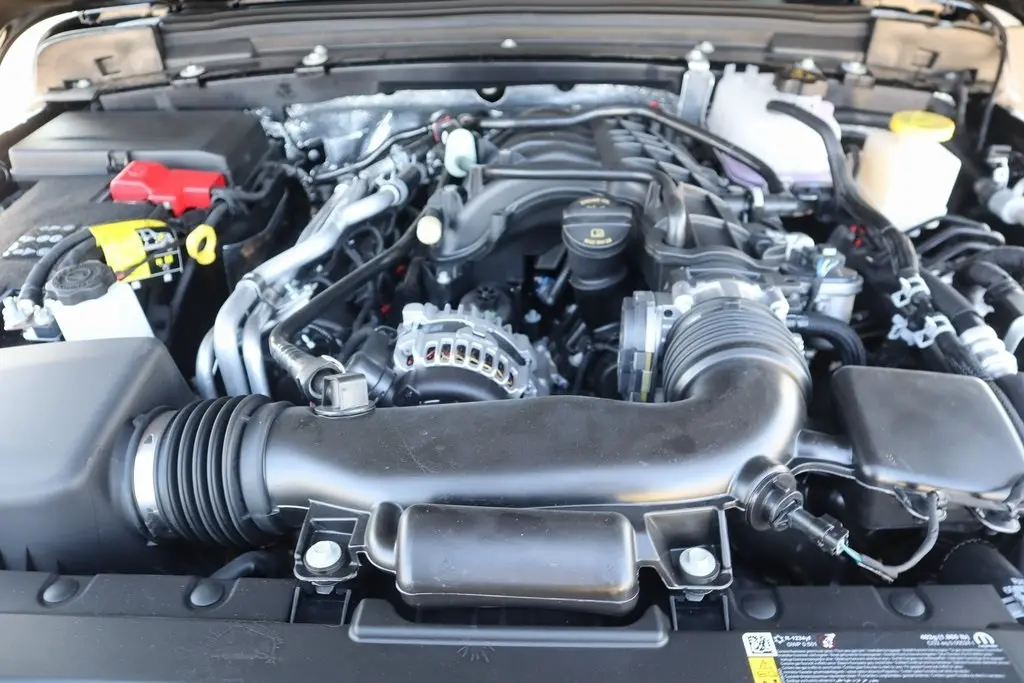 image-19