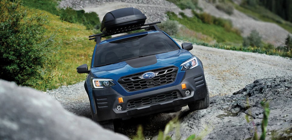 Subaru Outback Wilderness for sale at Wayne Subaru