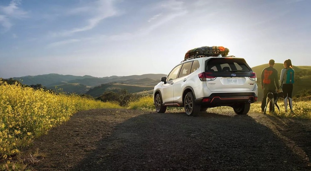 A white 2020 Subaru Forester is shown near hikers.