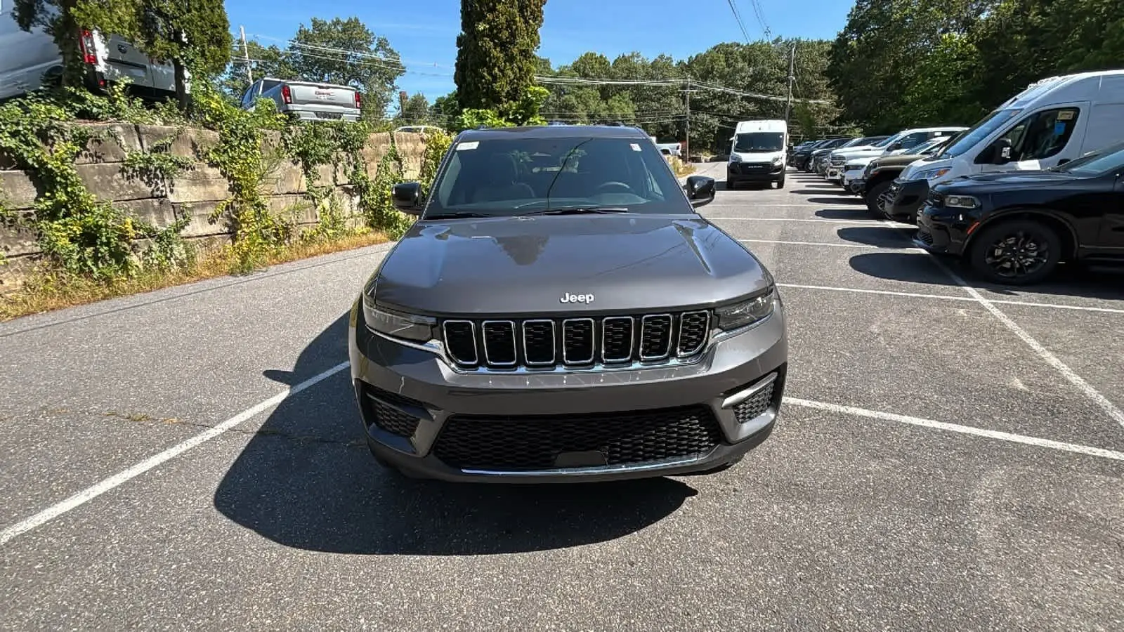 image-7