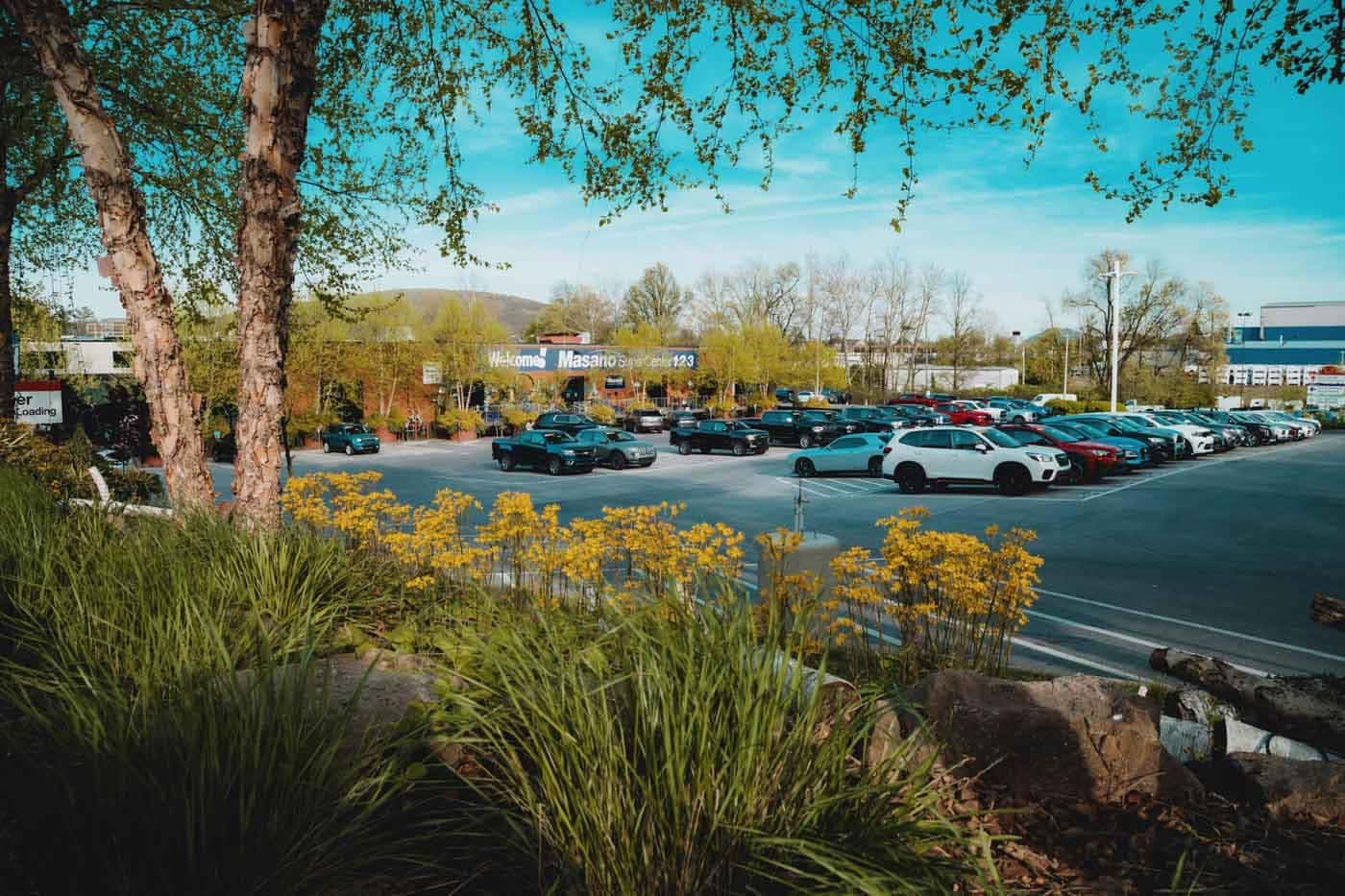 buy cars for sale online Masano Auto Park