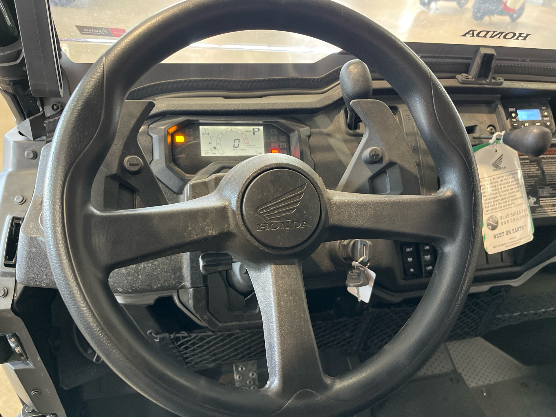 image-7