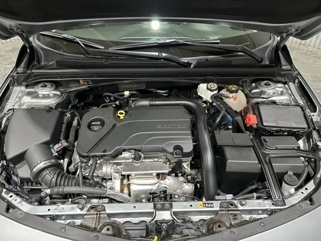 image-13