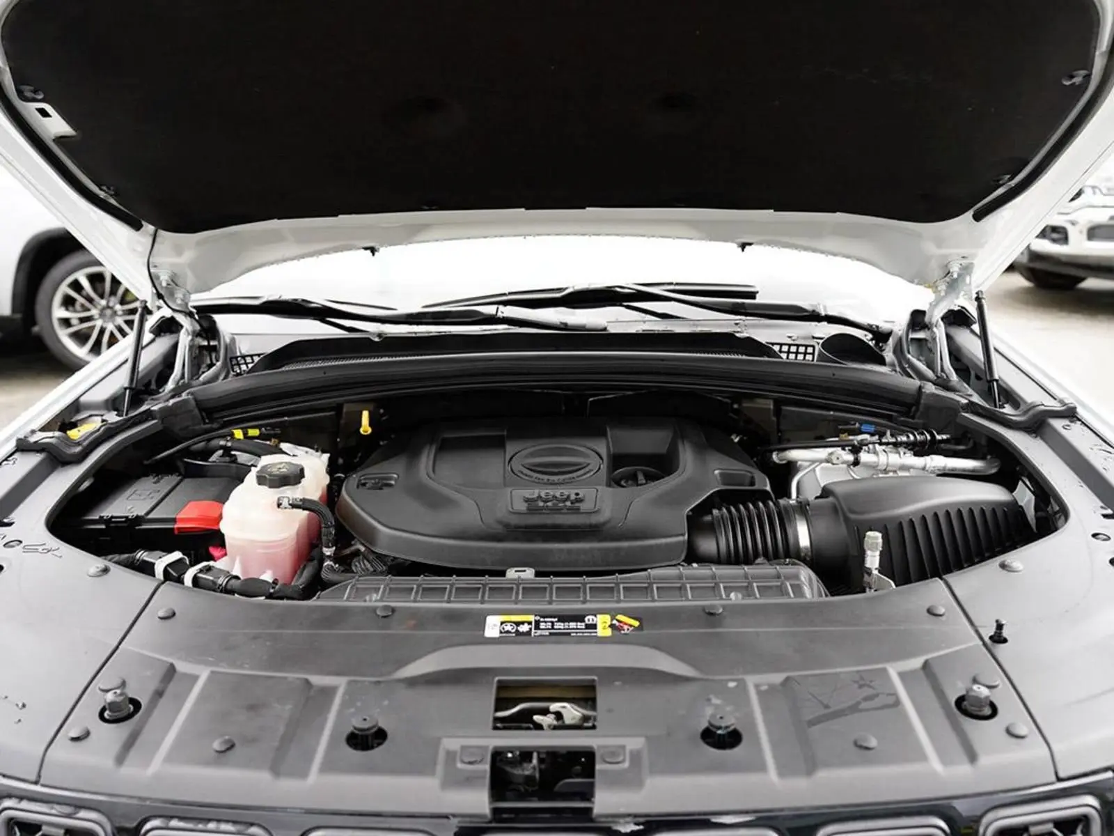 image-7