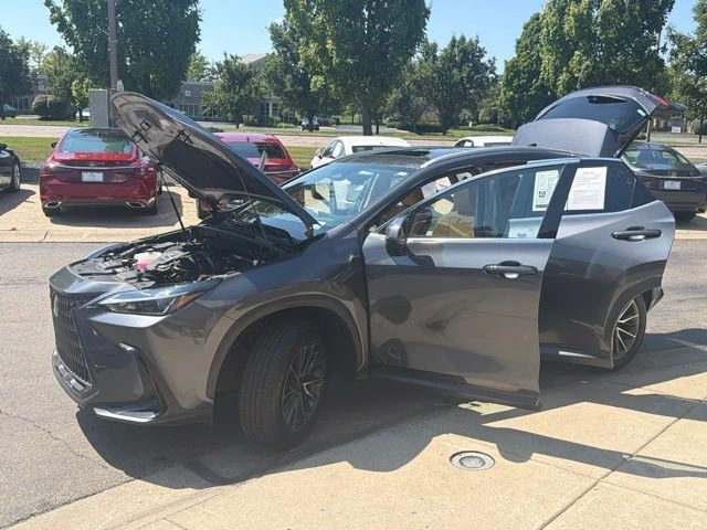 2025 Lexus NX 350 - Photo 10