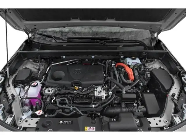 image-14