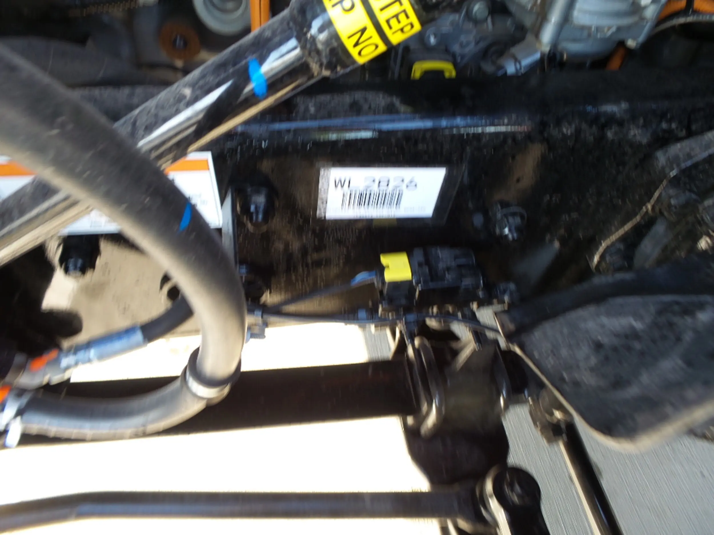 image-7