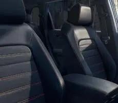 Leather-Trimmed