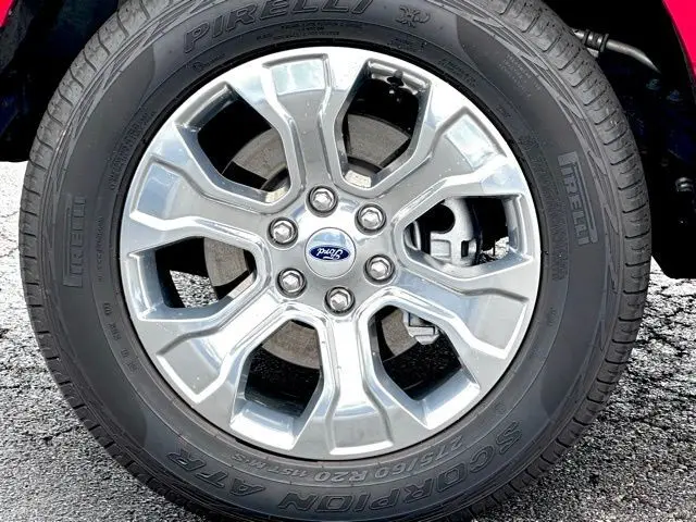 image-19