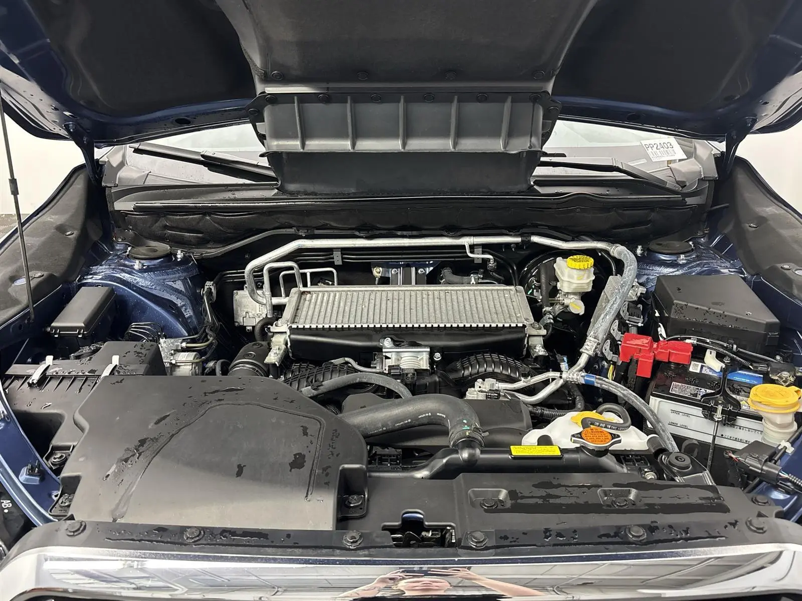 image-19