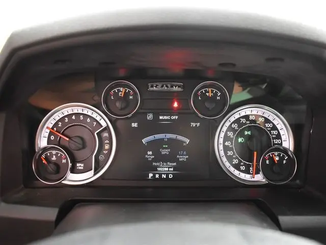 image-19