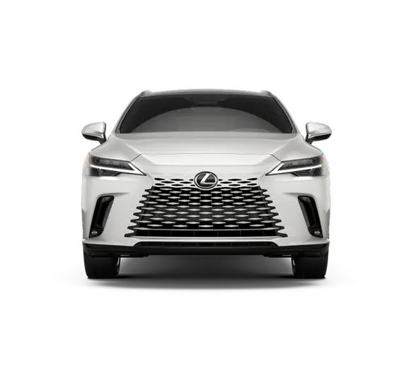 2025 Lexus RX 350 Luxury AWD photo 3