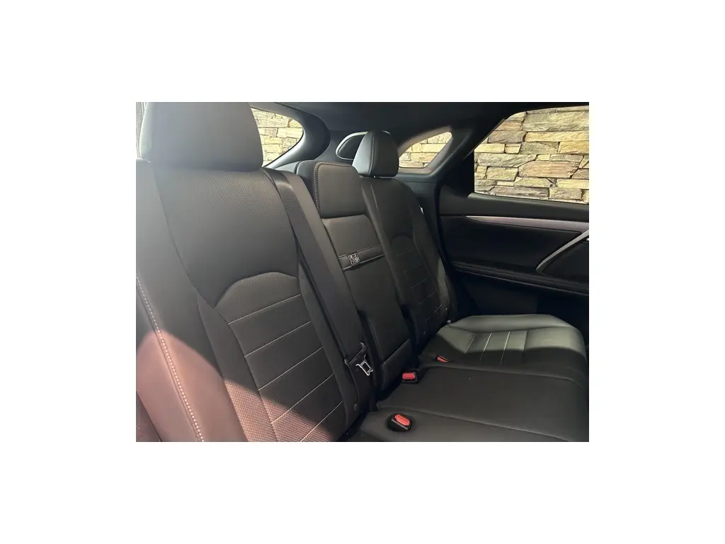 image-15
