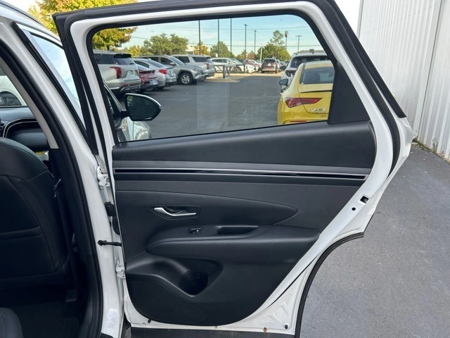 image-13