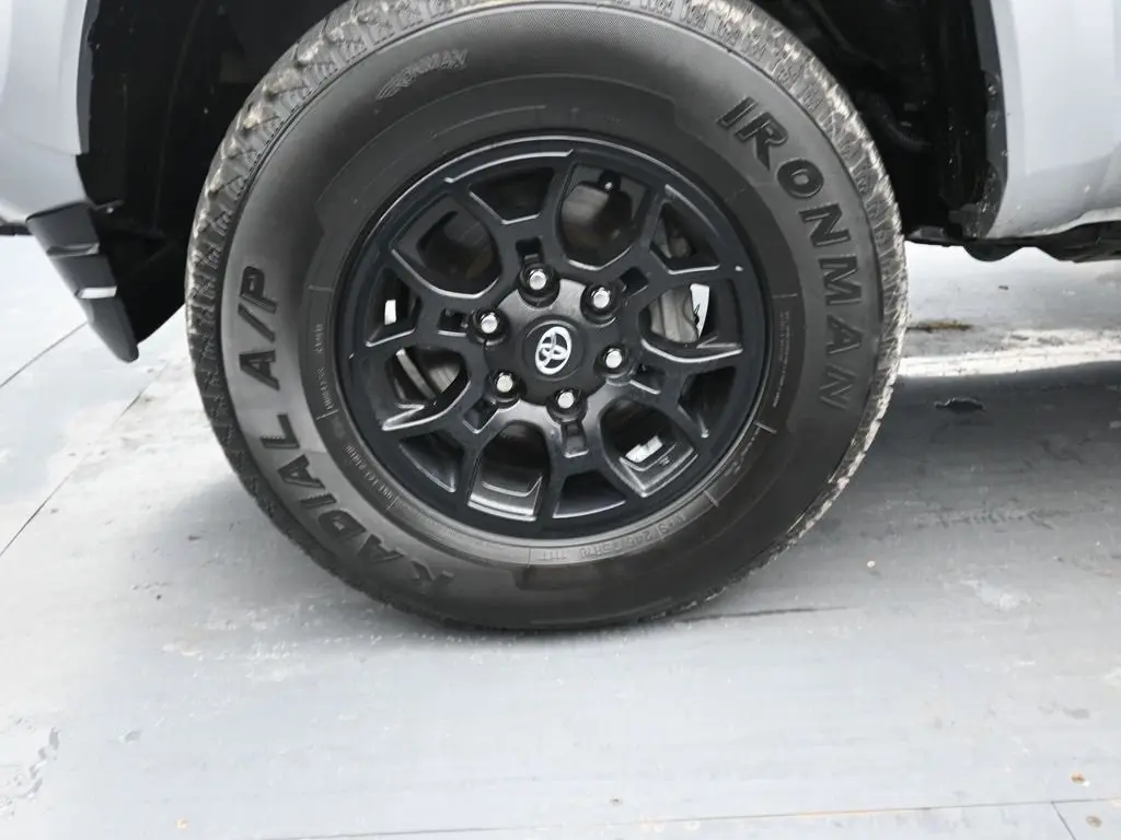 image-11