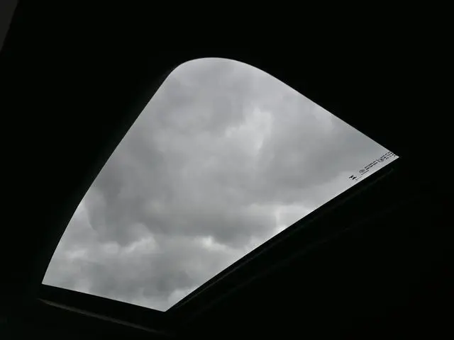 image-18