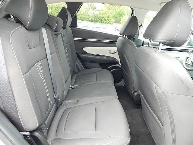 image-19