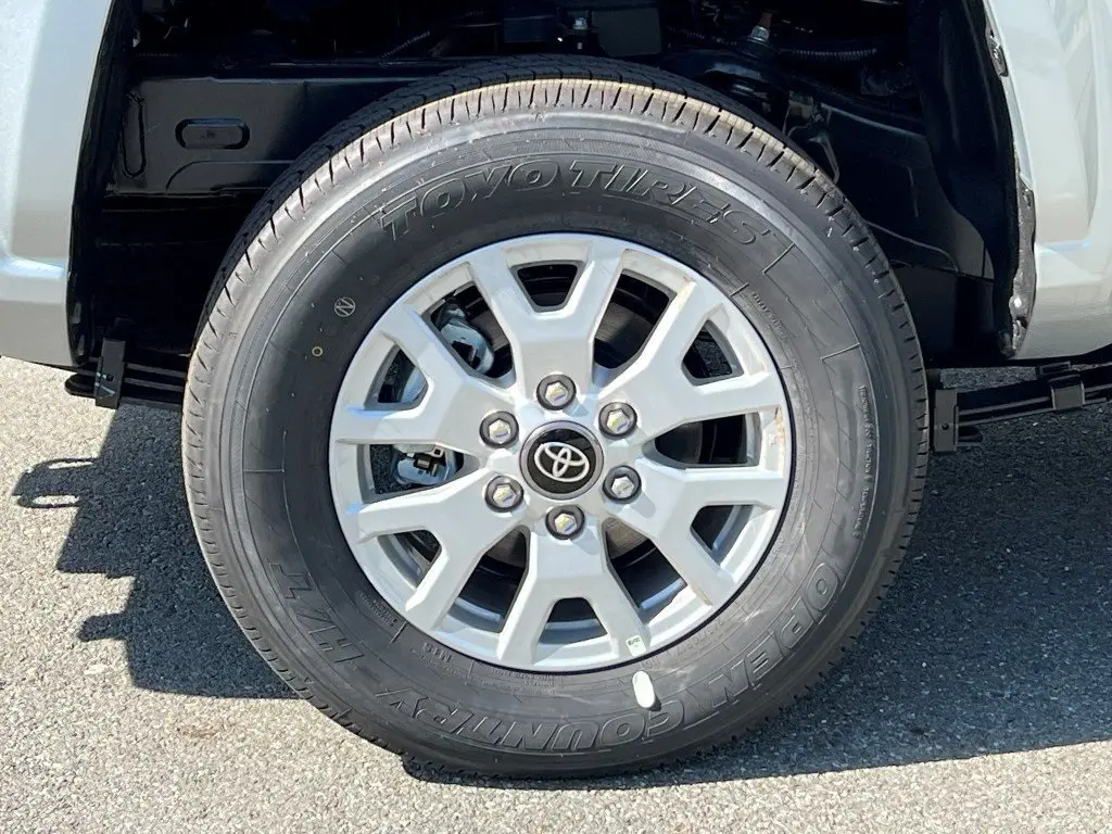 image-4