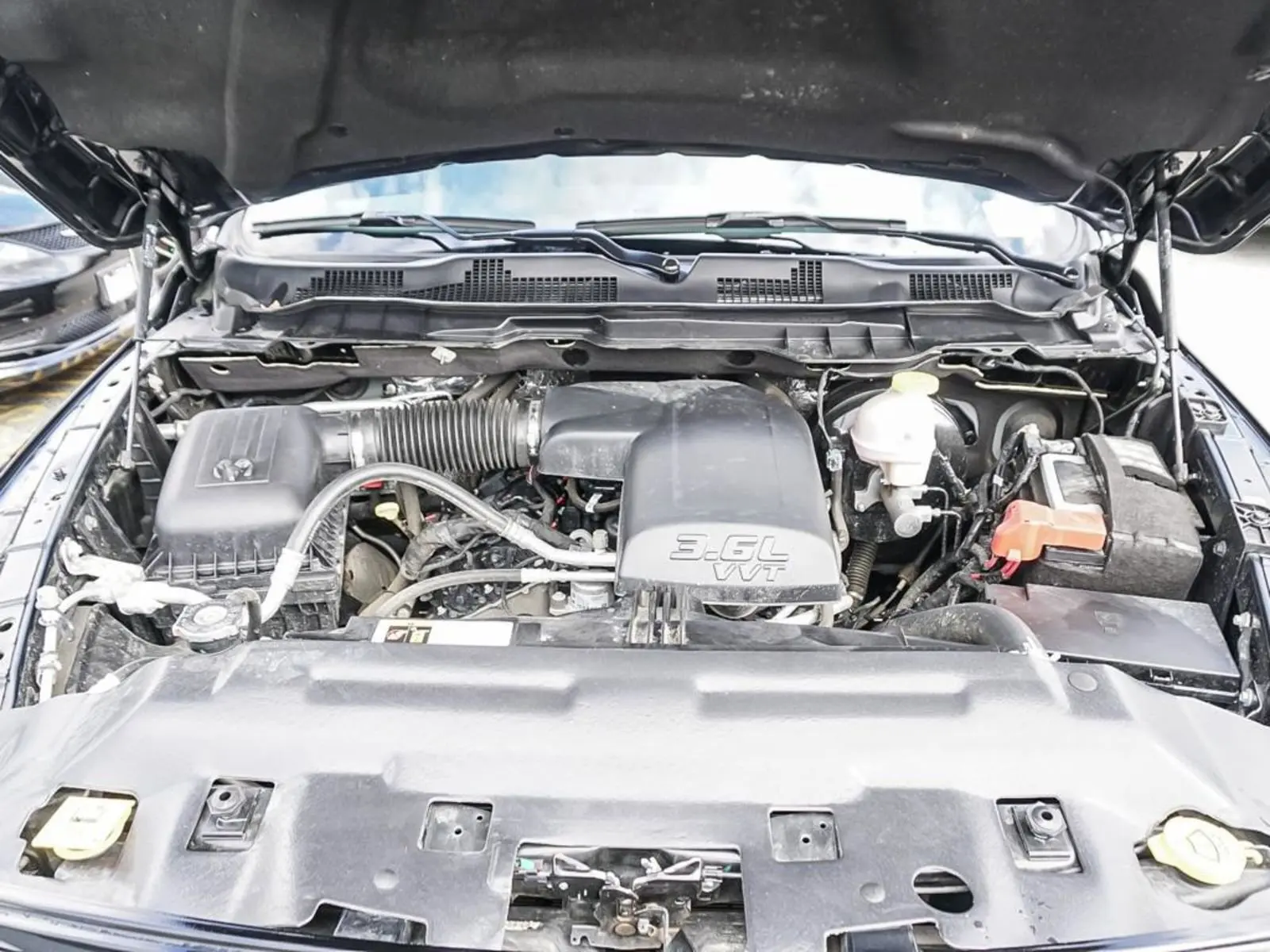 image-7