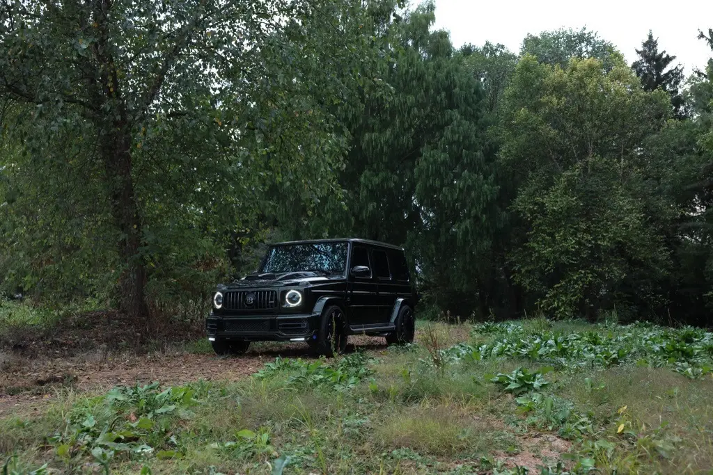 image-4