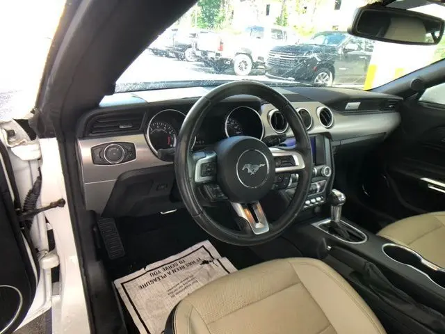 image-15