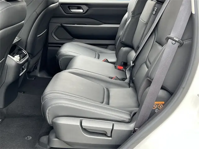 image-19