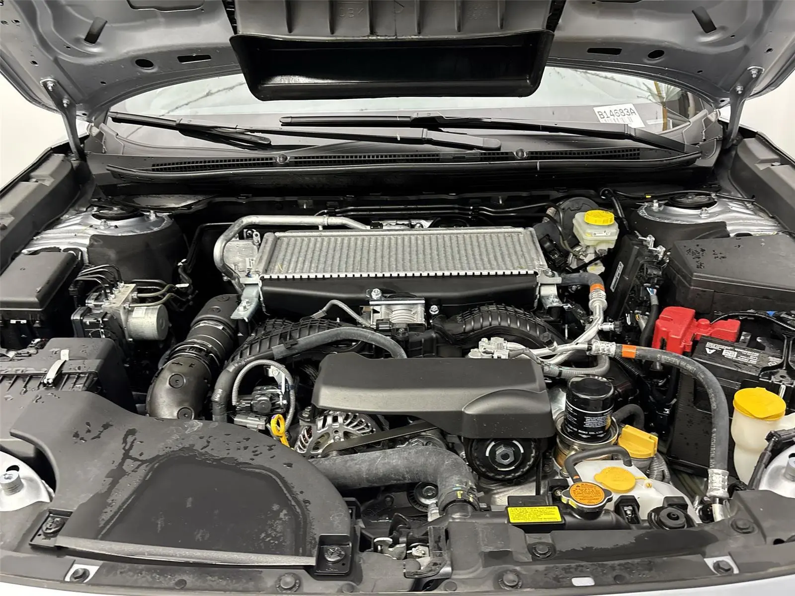 image-19