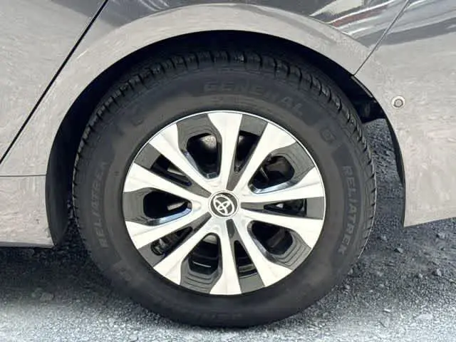 image-19