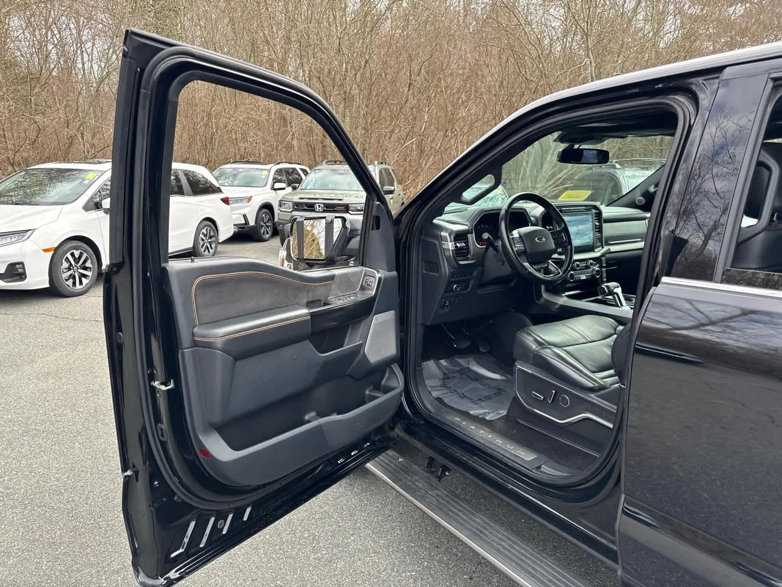 2022 Ford F-150 Platinum photo 10